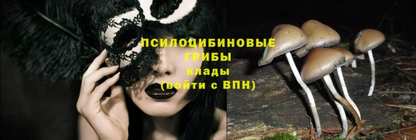 гашик Володарск