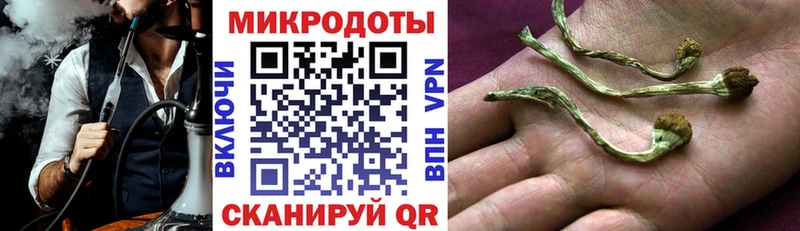 МЕГА ТОР Остров Псилоцибиновые грибы мицелий